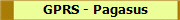 GPRS - Pagasus